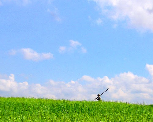 campuhan ridge grass cutter 2