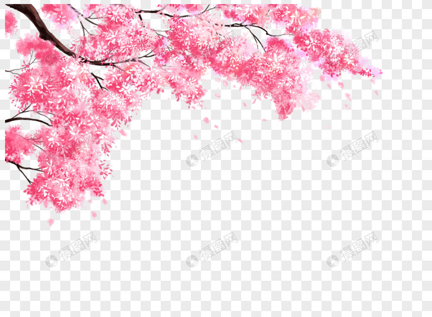 15+ Wallpaper Bunga Sakura Kartun - Koleksi Bunga HD