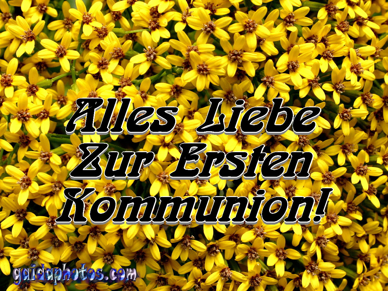 Glückwünsche Zum Geburtstag Mit Musik wünsche geburtstag