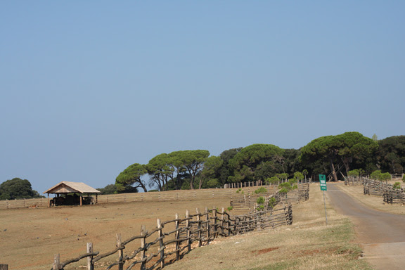 brioni safari park