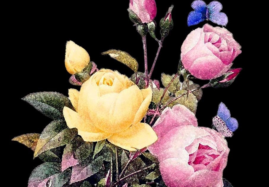 Best Flowers For Someone Grieving Sympathy Plant Ideas