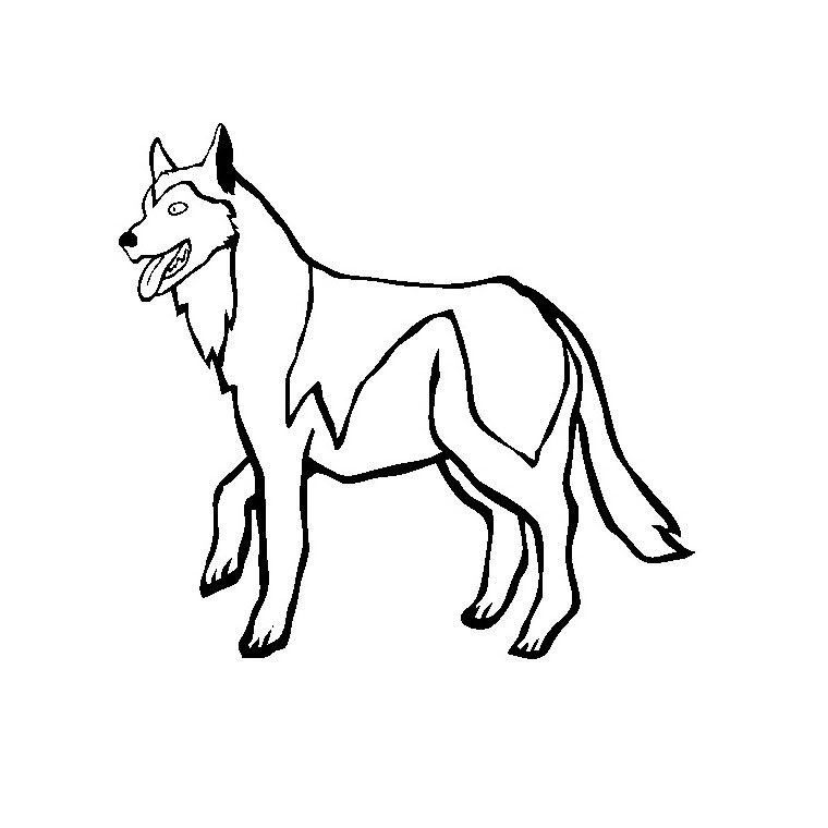 Dessin De Chien De Traineau Facile  Chien Nouvelles