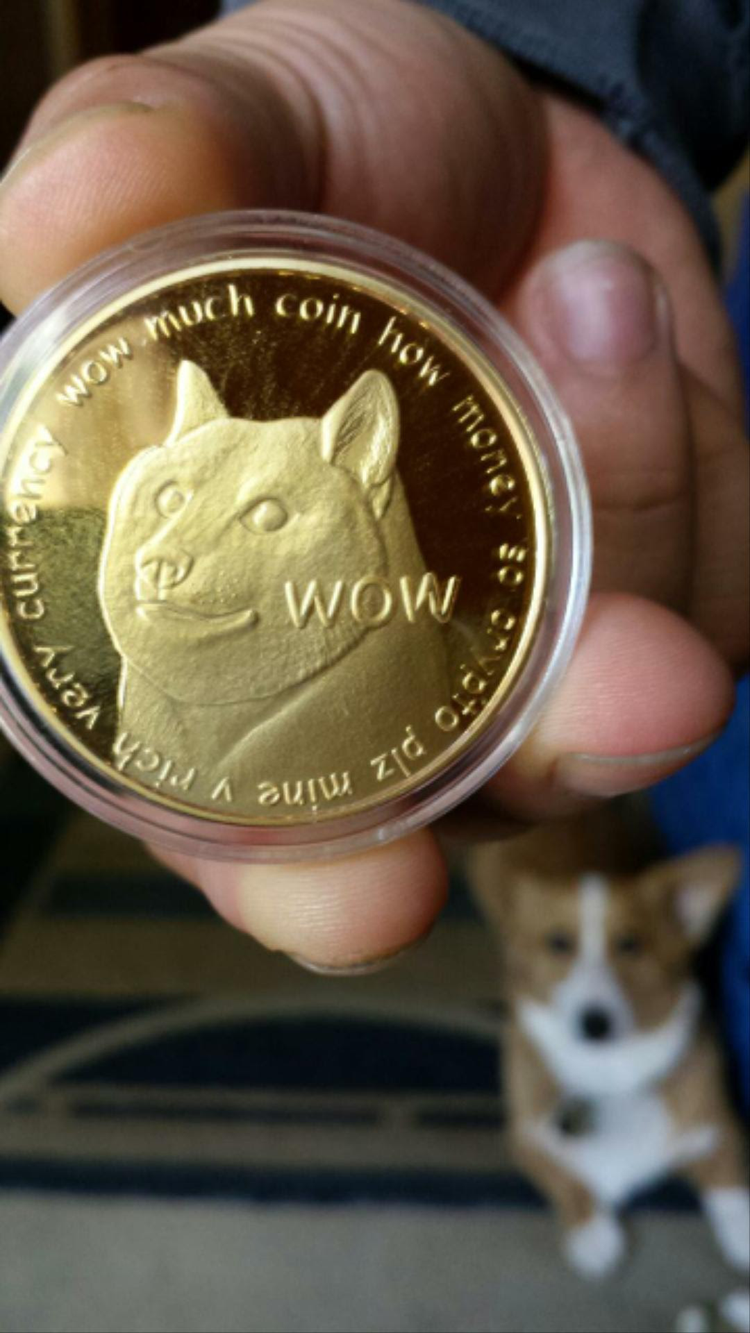 Dogecoin Gold - Novelty Gold Dogecoin Physical Copper Coin ...