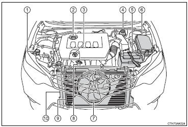 Toyotum Corolla Engine Compartment Diagram - kapris-naehwelt