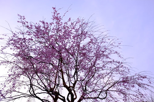 DSCF2984.JPG