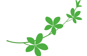 年の最高 植物 イラスト フリー かわいい かっこいい無料イラスト素材集