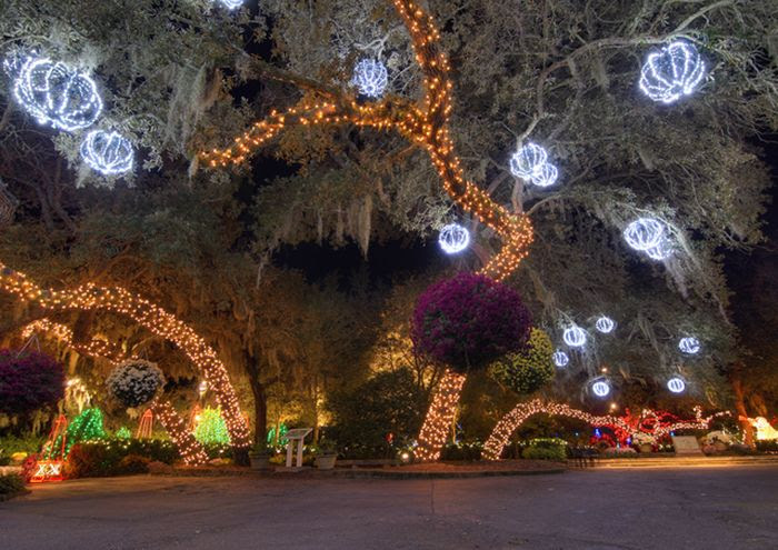 Beautiful Christmas (71 pics) Beautiful Christmas (71 pics)