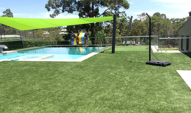 Artificial Grass For Dogs And Pets Classic Backyards