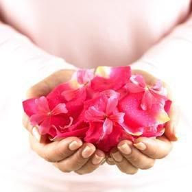 flores Pictures, Images and Photos