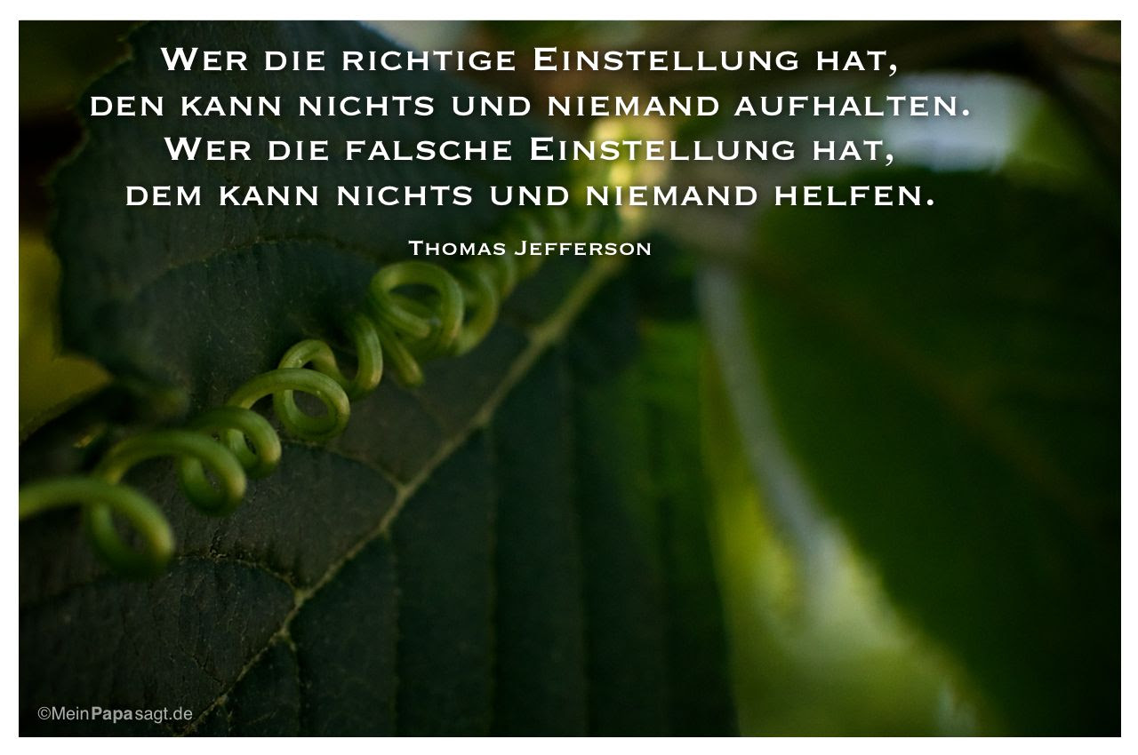 Konfuzius Zitate Tee mein leben zitate
