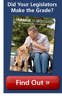 2011 Humane Scorecard