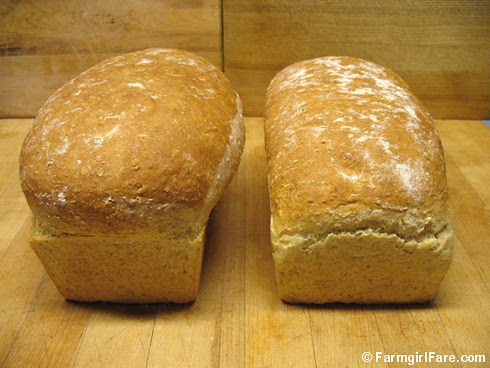 Same amount of bread dough in two different sizes of loaf pans