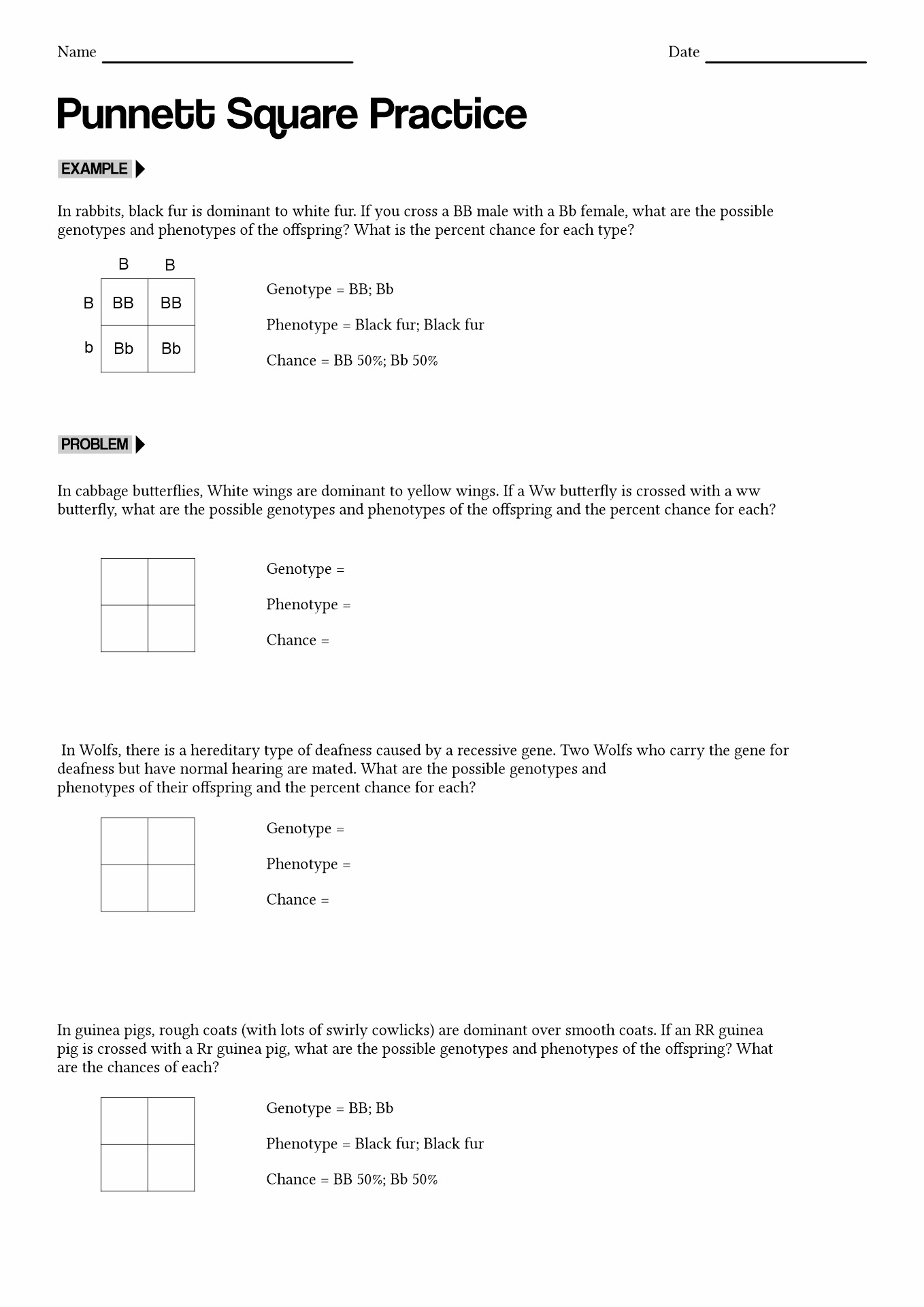 15 Best Images of Square Worksheet Answer Key Square