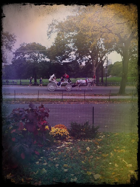 October 20, 2011 Central Park