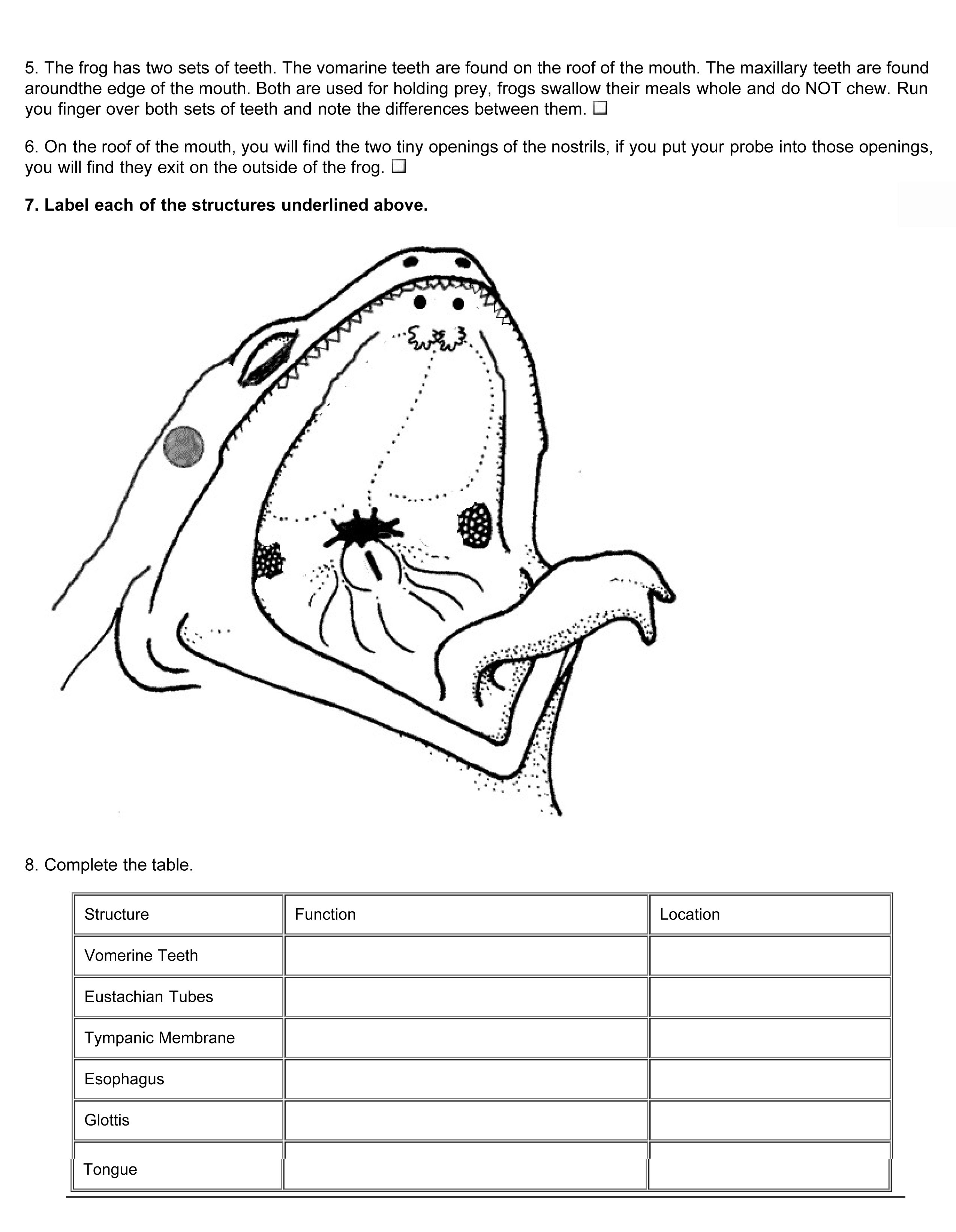 Frog Dissection Coloring Worksheet Answers