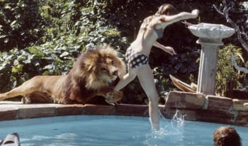 Melanie Griffith leu