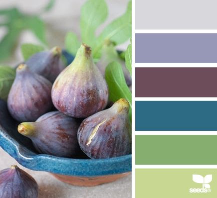 http://www.pinterest.com/pin/58828338857226905/ fig hues