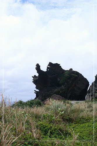 PICT5557