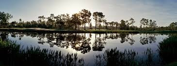 Private Golf Course «The Dye Preserve Golf Club», reviews and photos, 1808 SE Colony Way, Jupiter, FL 33478, USA