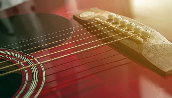 009 Acoustic Guitar Strings / Guitar tumbler/acoustic/guitar/strings