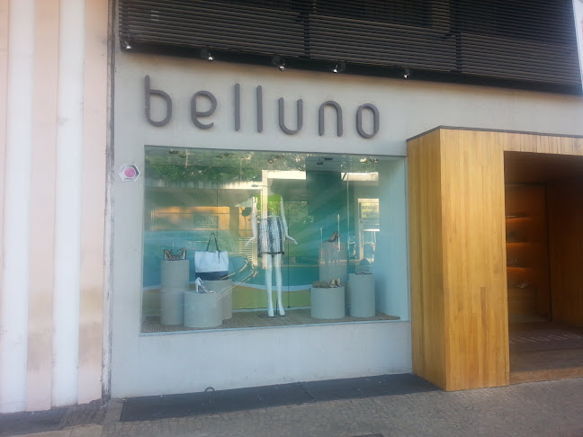 Belluno Asa Sul