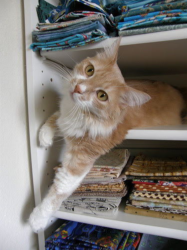 Helping