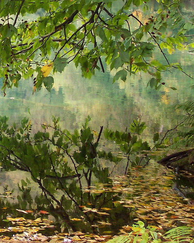GreenLake