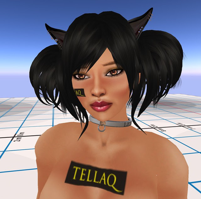 Skin Fair Demos Tellaq Sally February 25 2011
