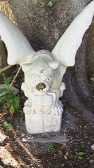 IMGA0397.JPG