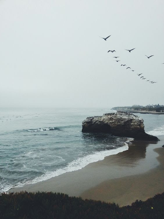 sea photography 8