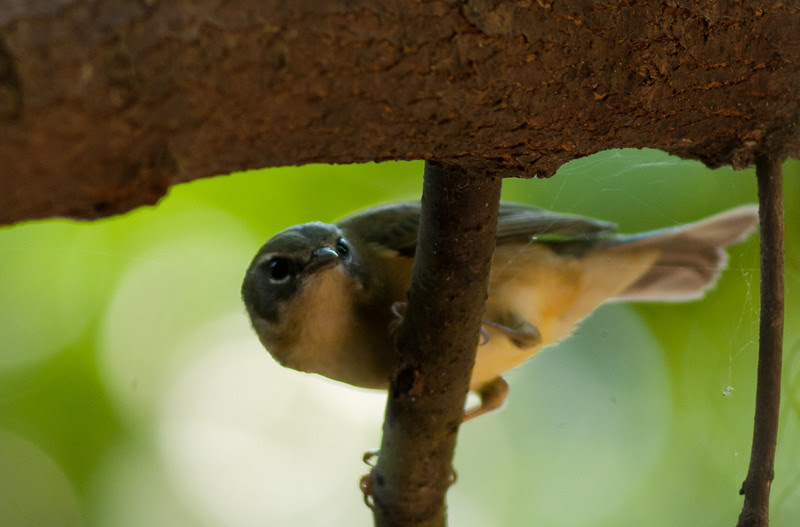 Photo & Video Sharing by SmugMug Photo & Video Sharing by SmugMug