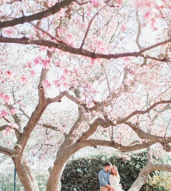 Themed Proposal Booth / 101 Best Proposal Ideas Unique Romantic