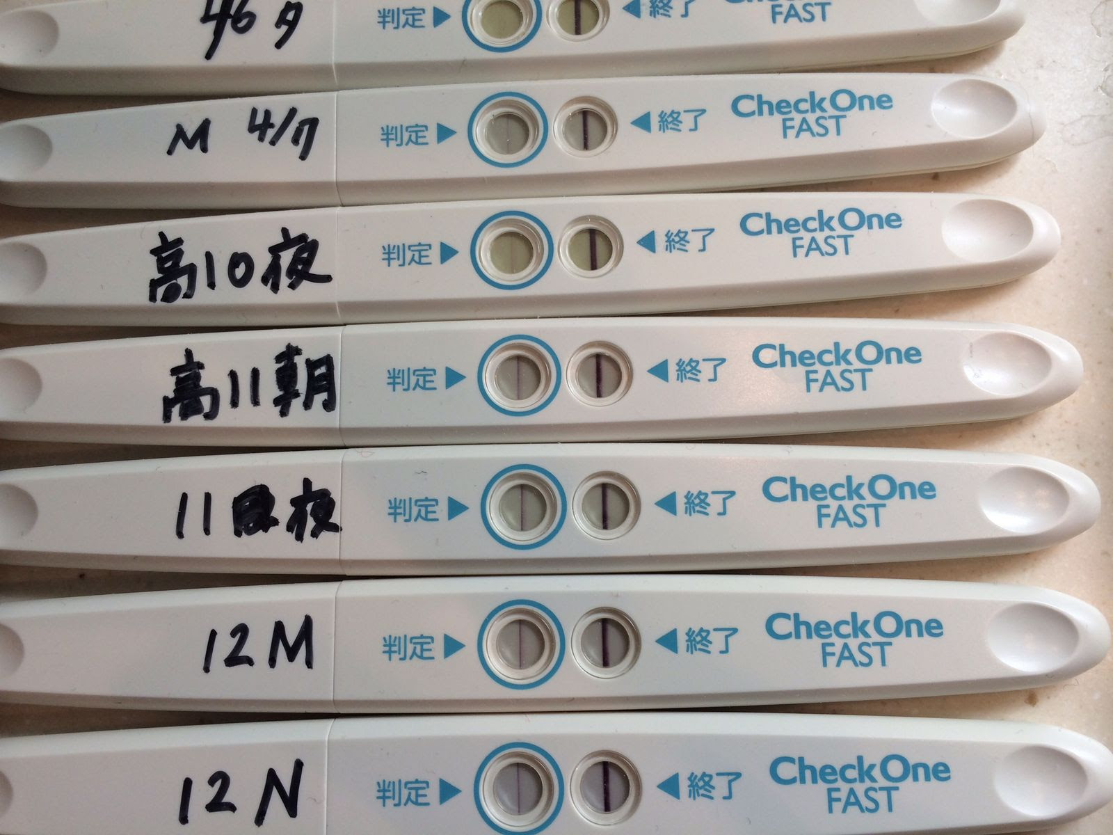 チェックワンファスト 高温期13日目