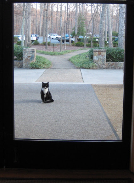 please let me in