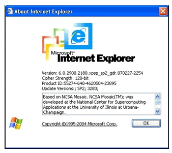 Internet Explorer Browser Version