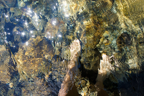 Sparkling river