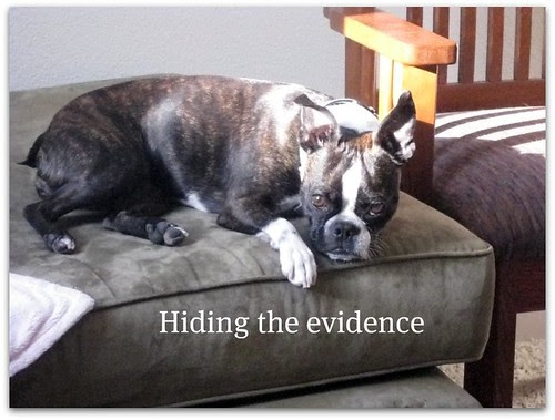 evidence