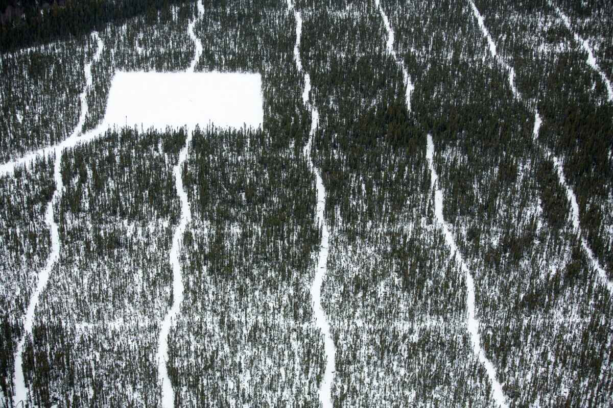 Seismic lines and well pad for exploratory drilling through the boreal forest at the Suncor Firebag Oil Sands Project. Alberta, Canada.