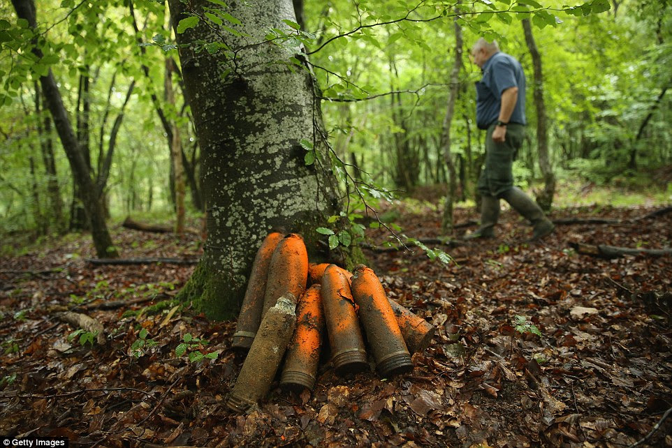 Clean up operation: Retired forest services worker Daniel Gadois walks past German 77mm and 105mm artillery shells which were never fired that he collected and marked in orange paint for later disposal in Bois Azoule forest