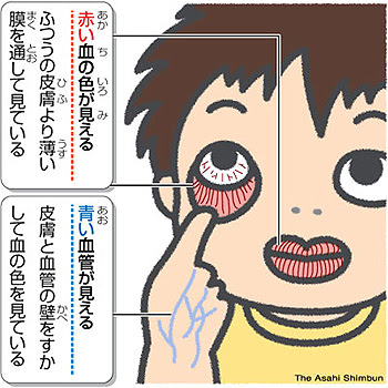 アニメ画像について ベストあかんべー イラスト