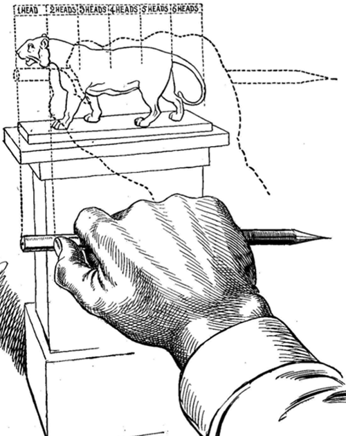 Scale Drawing And Proportions