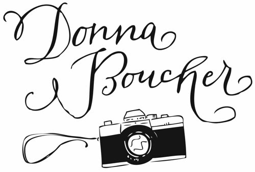 donna boucher logo