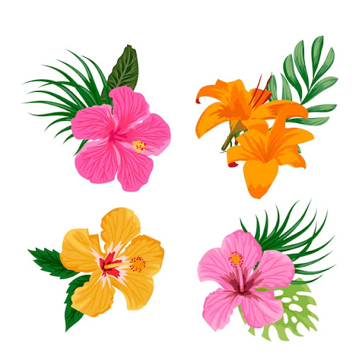Free Tropical Flowers SVG DXF EPS PNG