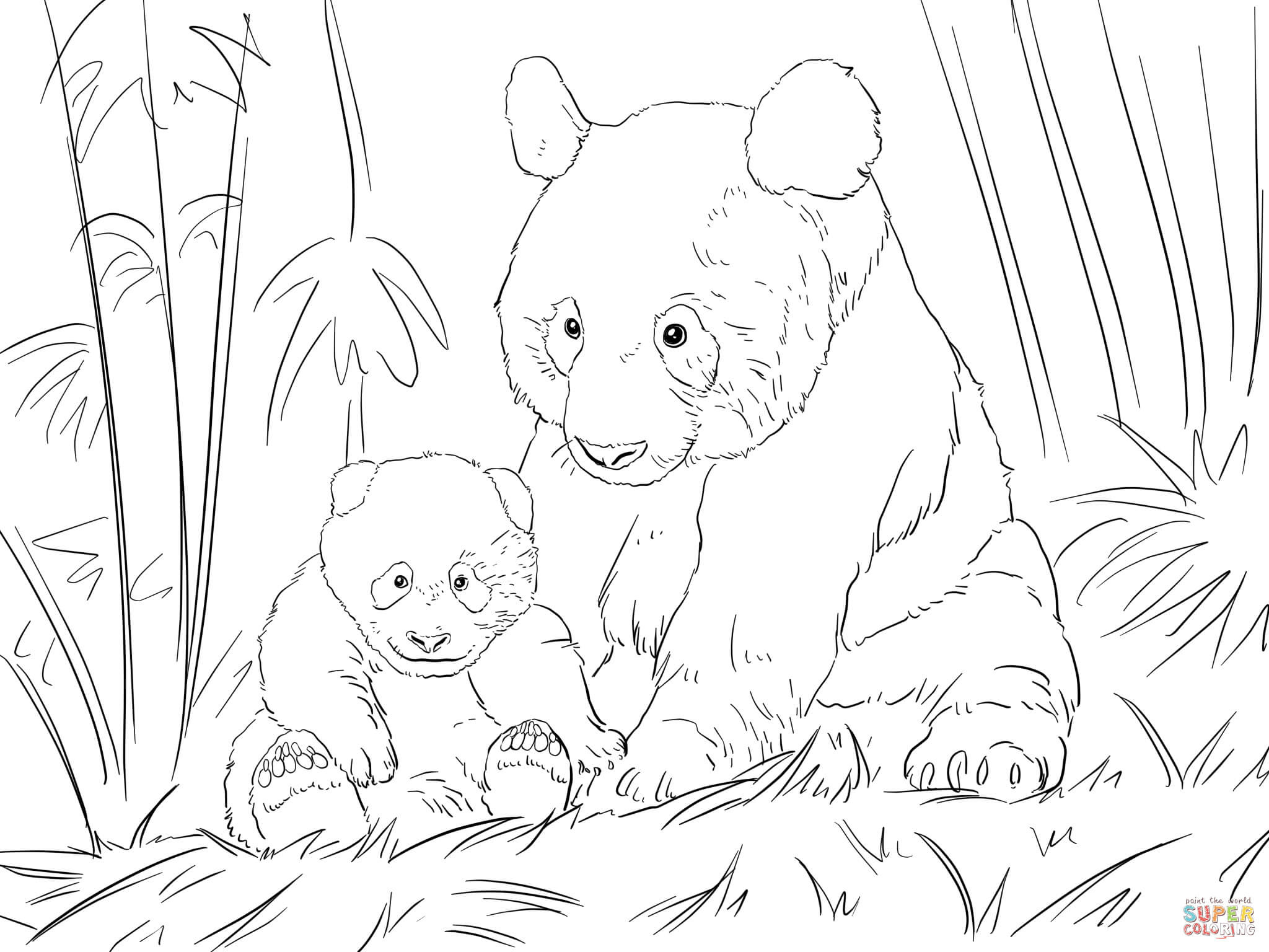 Meilleur De Coloriage De Panda Roux A Imprimer  Des Milliers de