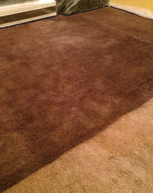 diy carpet dye
