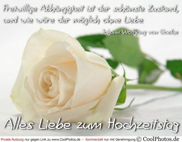 Whatsapp Glückwünsche Zur Rosenhochzeit : Lustige Spruche Zum