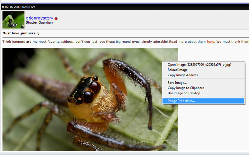 opera exif viewer