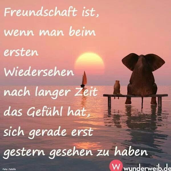 Zitate Reisen Freunde