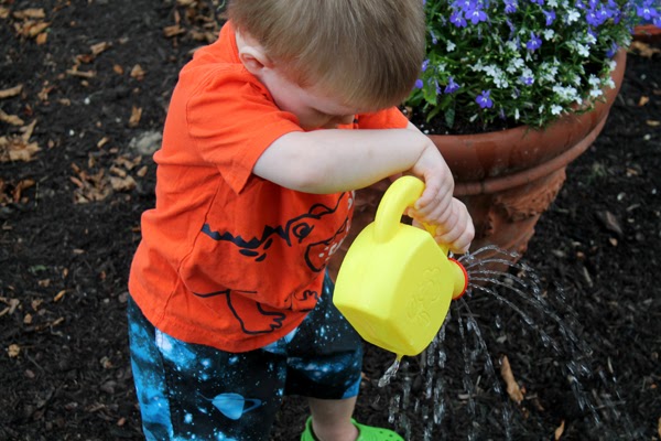 The Kul Mom: Teaching Toddlers 102: Watering Flowers