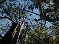 Free Image Hosting at www.ImageShack.us